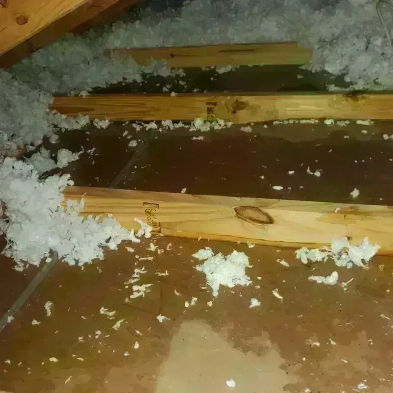 Attic Water Damage in Hudson, OH