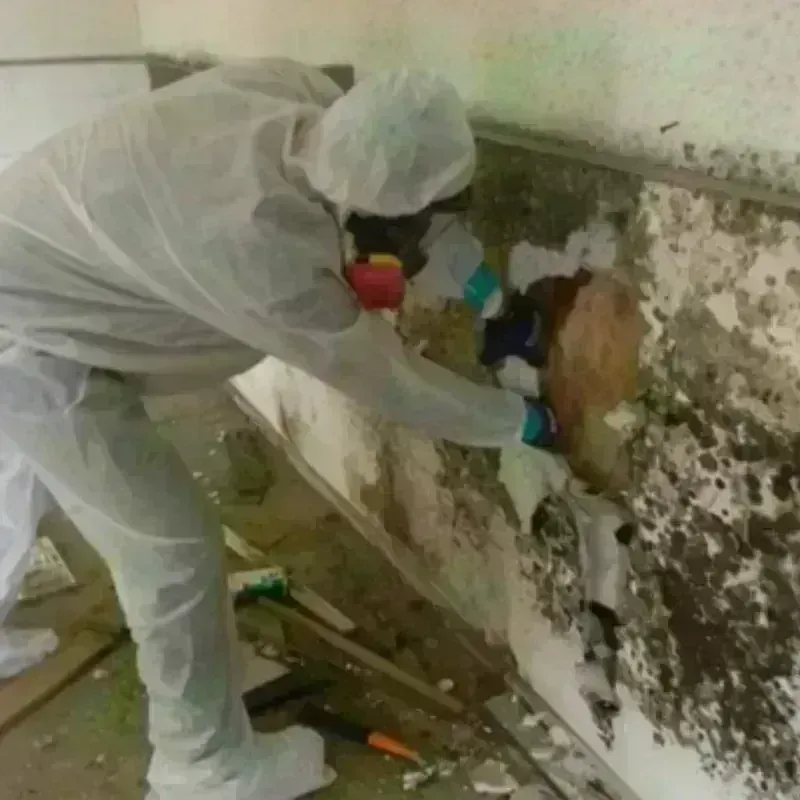 Mold Remediation and Removal in Hudson, OH