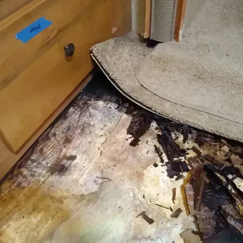 Wood Floor Water Damage in Hudson, OH